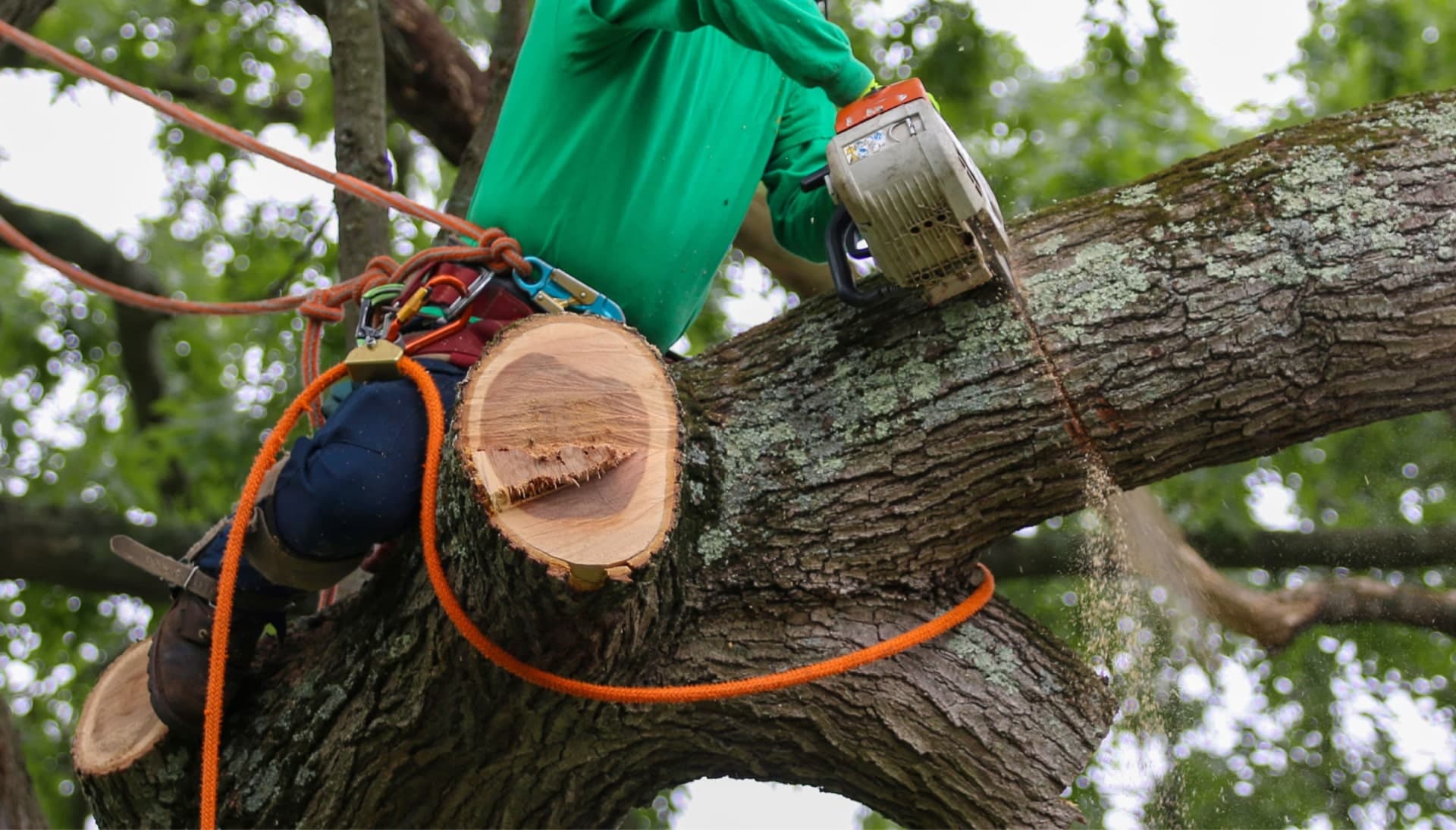 Relax with Rockland County best tree removal.