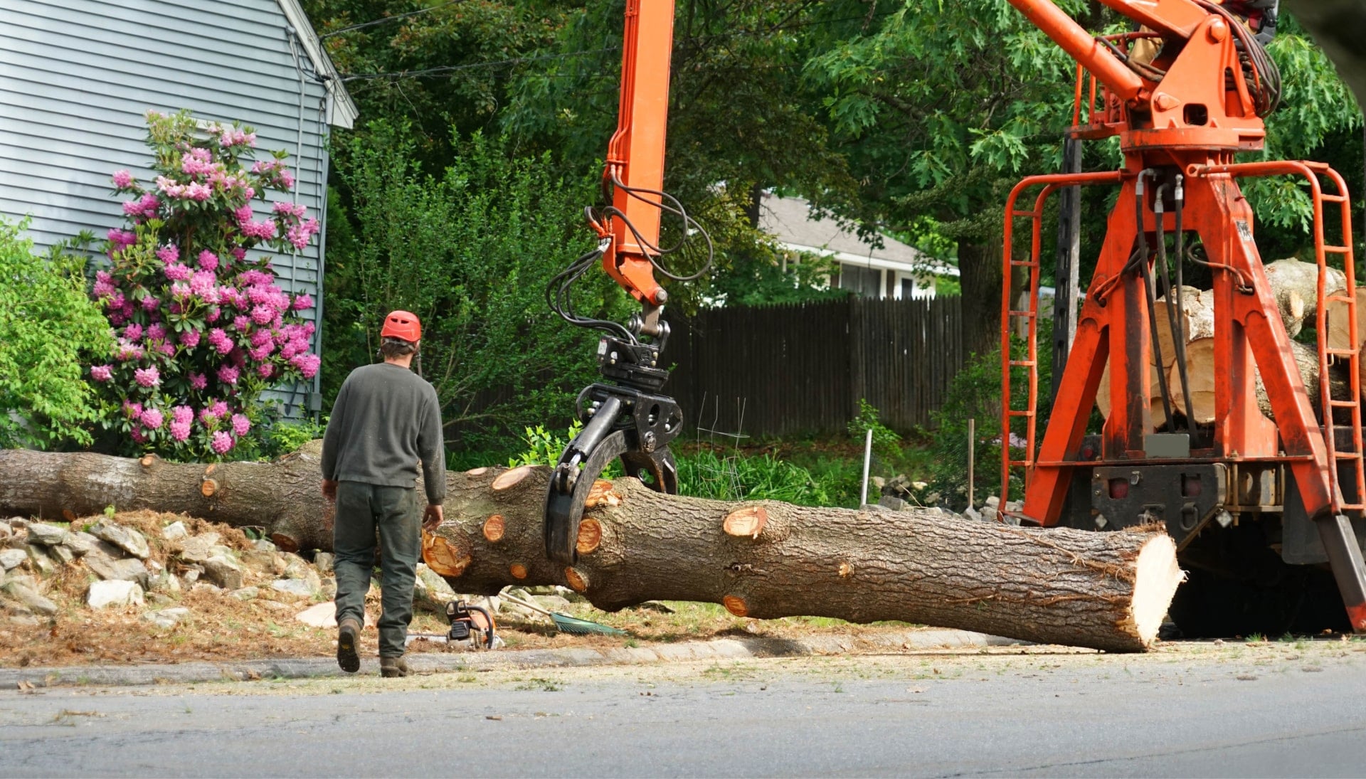 Local partner for Tree removal services in Rockland County