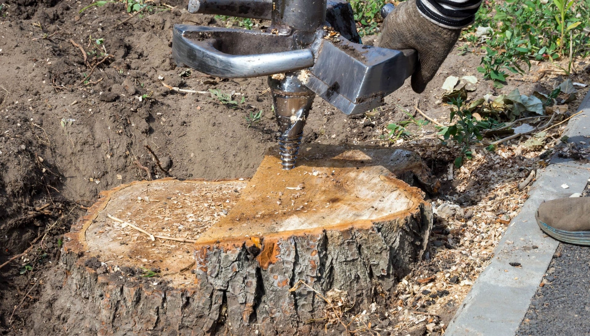 Rockland County Tree stump removal